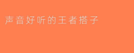 声音好听的王者搭子