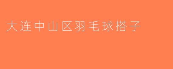 大连中山区羽毛球搭子