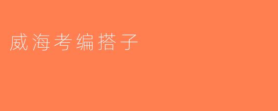 威海考编搭子