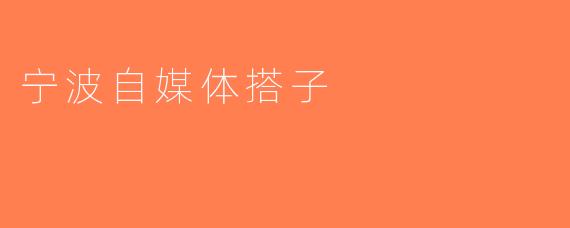 宁波自媒体搭子