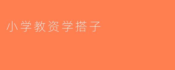 小学教资学搭子