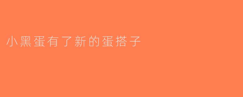 小黑蛋有了新的蛋搭子