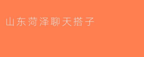 山东菏泽聊天搭子