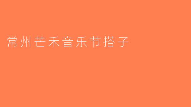 常州芒禾音乐节搭子