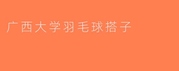 广西大学羽毛球搭子