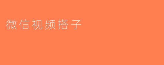 微信视频搭子
