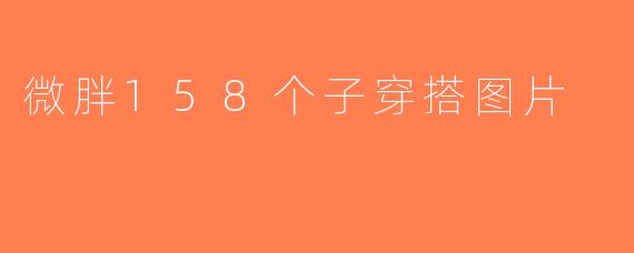 微胖158个子穿搭图片