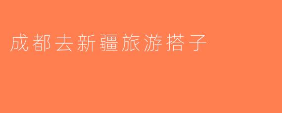 成都去新疆旅游搭子