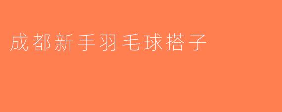 成都新手羽毛球搭子