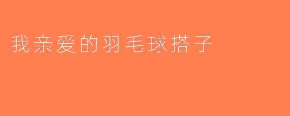我亲爱的羽毛球搭子