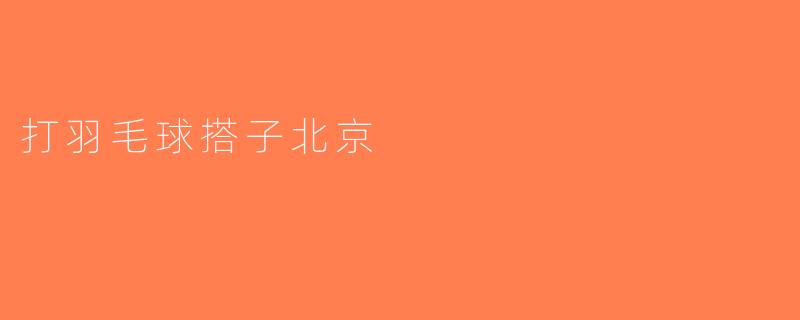 打羽毛球搭子北京