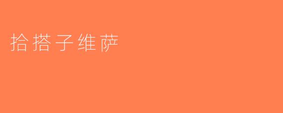 拾搭子维萨