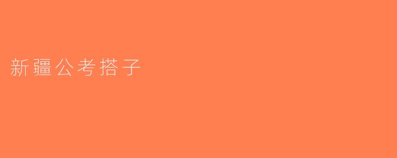 新疆公考搭子