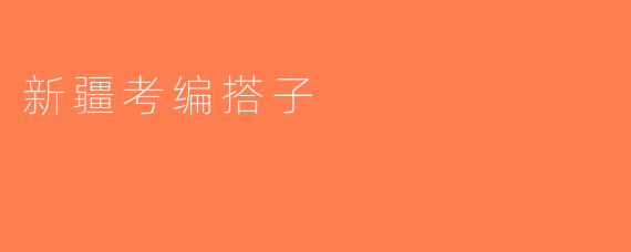 新疆考编搭子