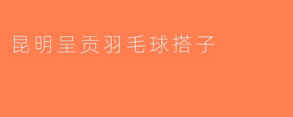昆明呈贡羽毛球搭子