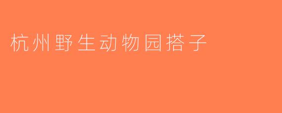 杭州野生动物园搭子