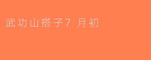 武功山搭子7月初