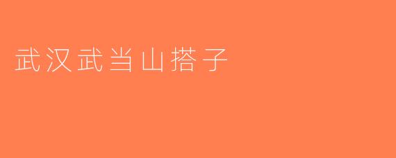 武汉武当山搭子