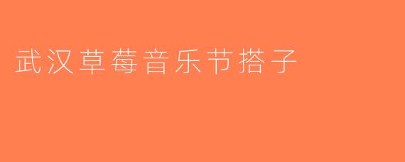 武汉草莓音乐节搭子