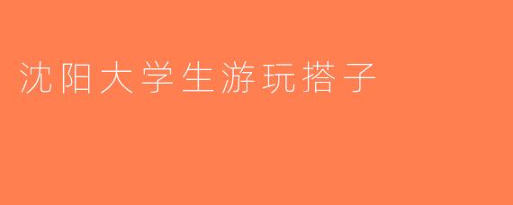 沈阳大学生游玩搭子