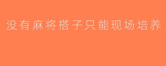 没有麻将搭子只能现场培养