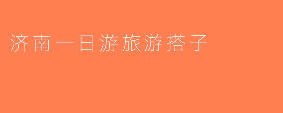 济南一日游旅游搭子
