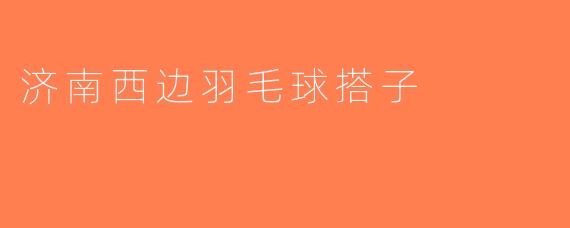 济南西边羽毛球搭子