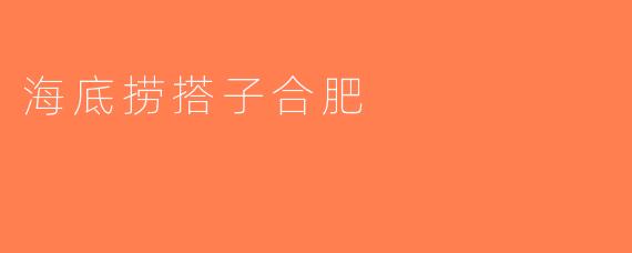 海底捞搭子合肥