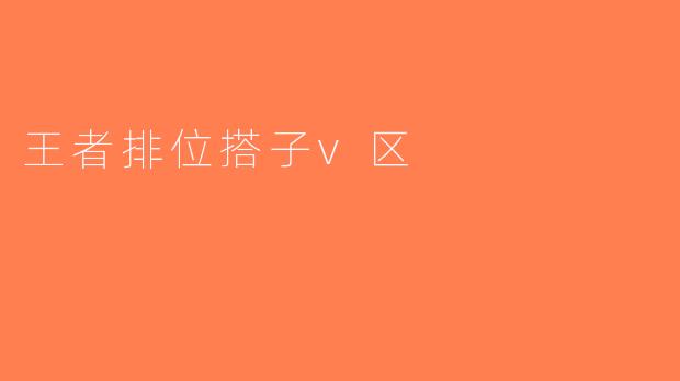 王者排位搭子v区