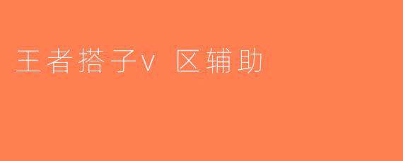 王者搭子v区辅助