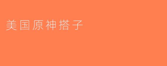 美国原神搭子