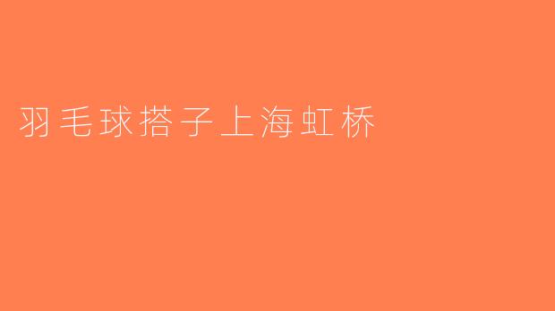 羽毛球搭子上海虹桥