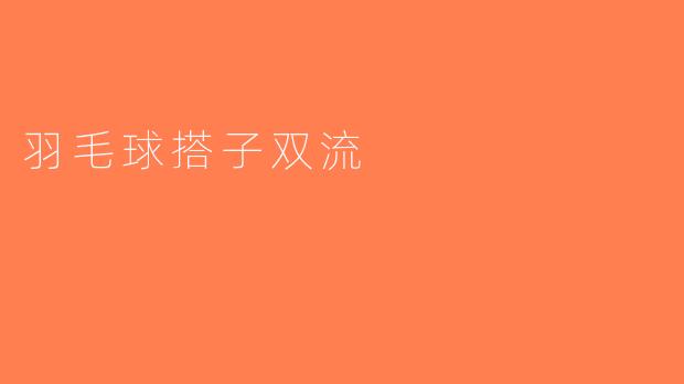 羽毛球搭子双流
