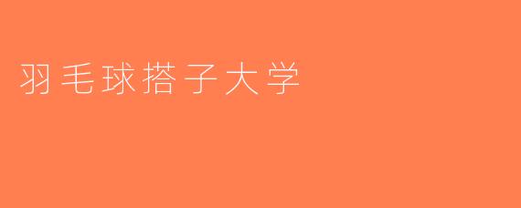 羽毛球搭子大学