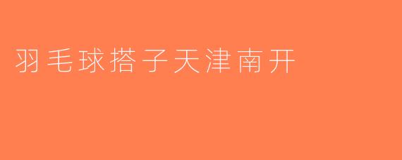 羽毛球搭子天津南开