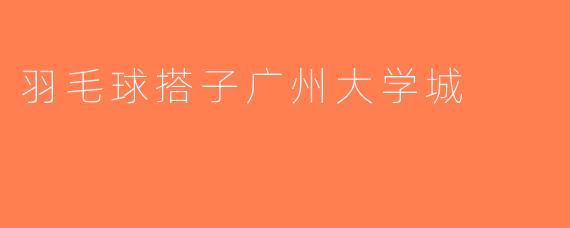 羽毛球搭子广州大学城