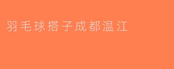 羽毛球搭子成都温江