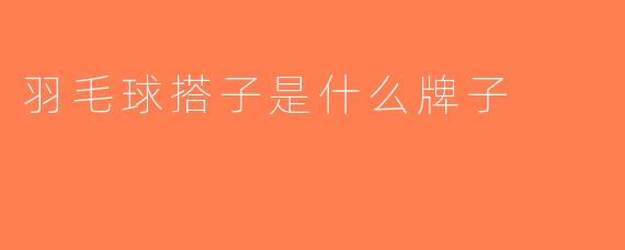 羽毛球搭子是什么牌子