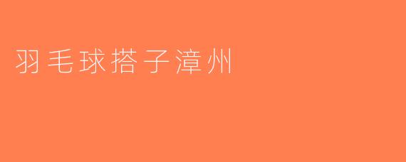 羽毛球搭子漳州
