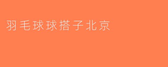 羽毛球球搭子北京