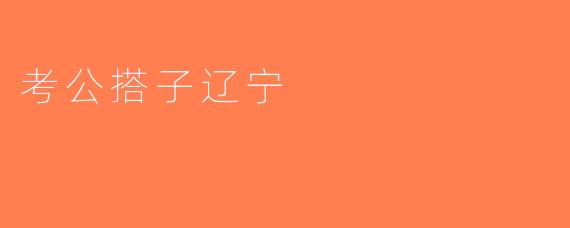 考公搭子辽宁