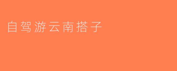 自驾游云南搭子