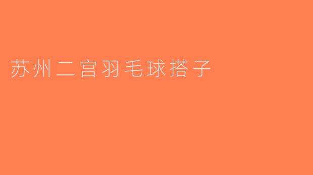 苏州二宫羽毛球搭子