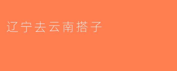 辽宁去云南搭子