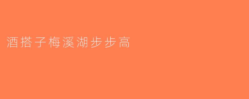 酒搭子梅溪湖步步高