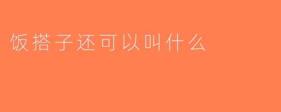 饭搭子还可以叫什么