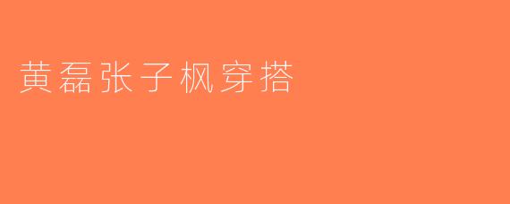 黄磊张子枫穿搭
