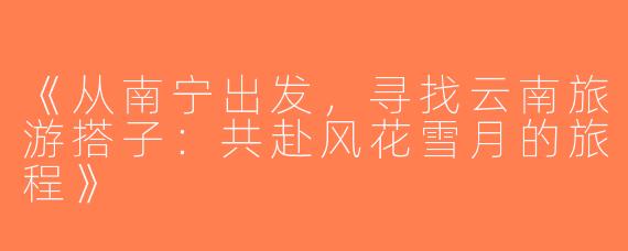 《从南宁出发，寻找云南旅游搭子：共赴风花雪月的旅程》
