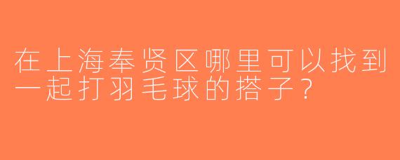 在上海奉贤区哪里可以找到一起打羽毛球的搭子？