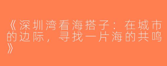 《深圳湾看海搭子：在城市的边际，寻找一片海的共鸣》
